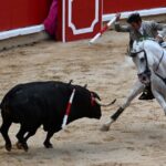 REJONES SAN FERMIN (13)