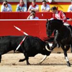 REJONES SAN FERMIN (21)