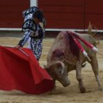 novillada (10)
