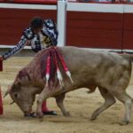 novillada (11)