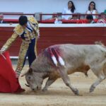 novillada (12)