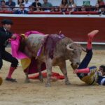 novillada (13)