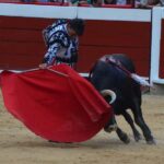 novillada (14)