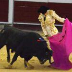 novillada (17)