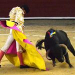 novillada (2)