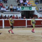 novillada (20)