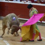 novillada (22)