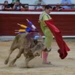 novillada (23)