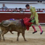 novillada (24)
