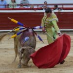 novillada (25)
