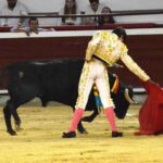novillada (3)