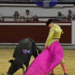 novillada (5)