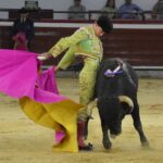 novillada (6)