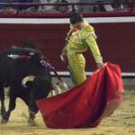 novillada (7)